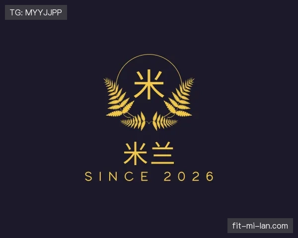 发现米兰世界杯